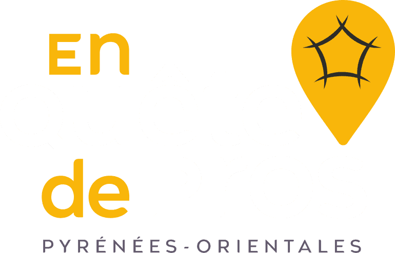 Enquête de Pro